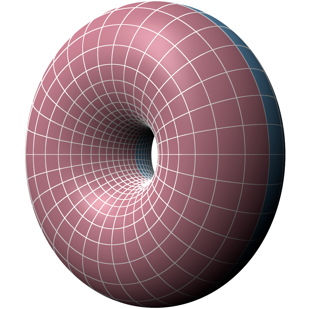 Torus — a fundamental example of an abelian variety